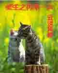 重生之再来一次 重生之再来一次