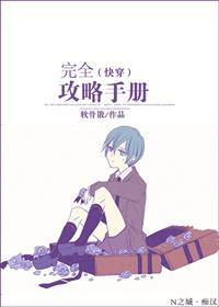 完全攻略手册 完全攻略手册