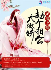 宠妻上瘾:劫个相公太傲娇 宠妻上瘾:劫个相公太傲娇