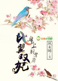 比翼双妃,皇上别驾崩 比翼双妃,皇上别驾崩