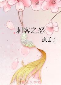 刺客之怒 刺客之怒