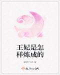 王妃是怎样炼成的 王妃是怎样炼成的