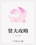 贤夫攻略 贤夫攻略