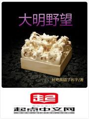 大明野望 大明野望