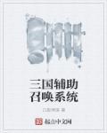 三国辅助召唤系统 三国辅助召唤系统