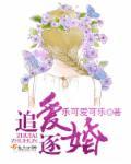 追爱逐婚 追爱逐婚