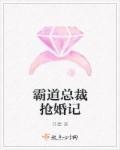 霸道总裁抢婚记 霸道总裁抢婚记