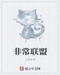 非常联盟 非常联盟