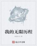 我的无限历程 我的无限历程