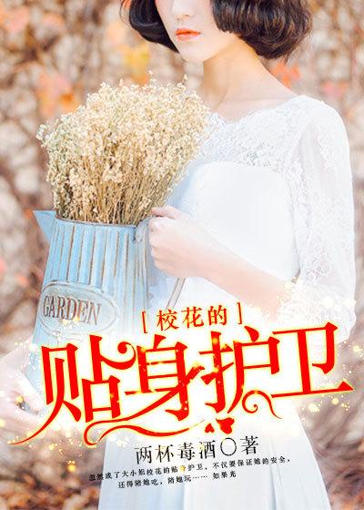 校花的贴身护卫 校花的贴身护卫