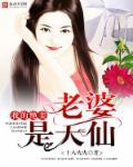 我的绝美老婆是天仙 我的绝美老婆是天仙