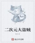 二次元大盗贼 二次元大盗贼