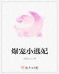 爆宠小逃妃 爆宠小逃妃