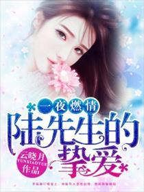 一夜燃情,陆先生的挚爱 一夜燃情,陆先生的挚爱