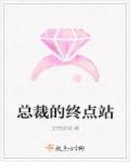 总裁的终点站 总裁的终点站