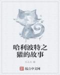 哈利波特之獾的故事 哈利波特之獾的故事