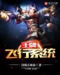 王牌飞行系统 王牌飞行系统