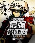 海贼王之最强供应商 海贼王之最强供应商