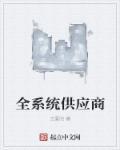 全系统供应商 全系统供应商