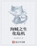 海贼之生化危机 海贼之生化危机