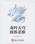 龙吟天穹夜郎悲歌 龙吟天穹夜郎悲歌