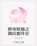胖帝妖娆之微臣想升官 胖帝妖娆之微臣想升官