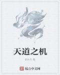 天道之机 天道之机
