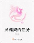 灵魂契约任务 灵魂契约任务
