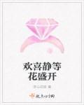 欢喜静等花盛开 欢喜静等花盛开