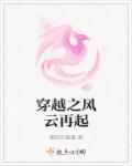 穿越之风云再起 穿越之风云再起