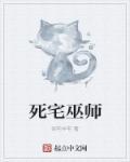 死宅巫师 死宅巫师