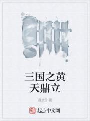 三国之黄天鼎立 三国之黄天鼎立