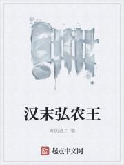 汉末弘农王 汉末弘农王