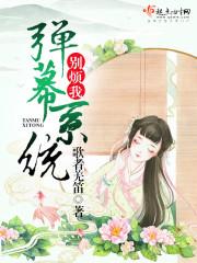 弹幕系统别烦我 弹幕系统别烦我