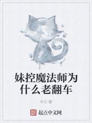 妹控魔法师为什么老翻车 妹控魔法师为什么老翻车