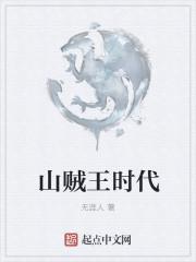 山贼王时代 山贼王时代