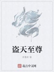 盗天至尊 盗天至尊