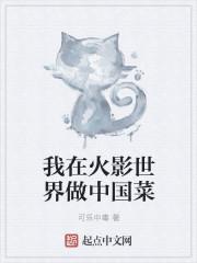 我在火影世界做中国菜 我在火影世界做中国菜