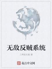 无敌反贼系统 无敌反贼系统