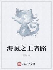 海贼之王者路 海贼之王者路