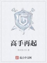 高手再起 高手再起