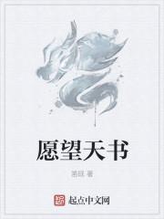 愿望天书 愿望天书