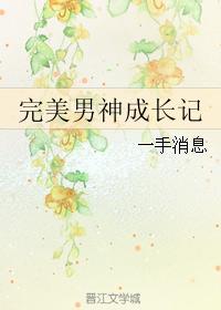 完美男神成长记 完美男神成长记