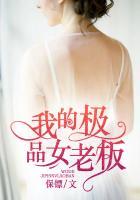 我的极品女老板 我的极品女老板