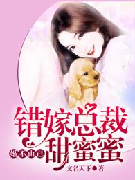 婚不由己,错嫁总裁甜蜜蜜 婚不由己,错嫁总裁甜蜜蜜