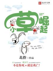 小草崛起 小草崛起