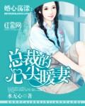 婚心荡漾:总裁的心尖暖妻 婚心荡漾:总裁的心尖暖妻