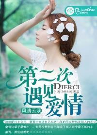 第二次遇见爱情 第二次遇见爱情