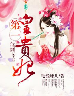 第一皇贵妃 第一皇贵妃