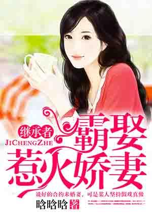 继承者:霸娶惹火娇妻 继承者:霸娶惹火娇妻